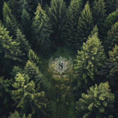 Трансфер - Полёт Трансфер - Полёт